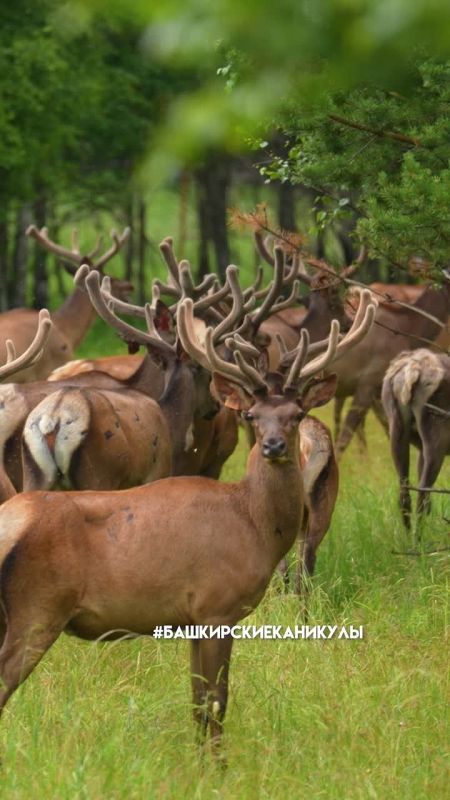 ���������� ������ � ��������� ������ ����������� �������