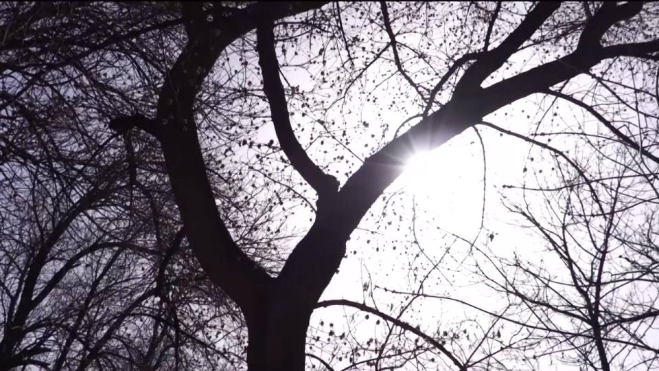 ��������� ����������, ����� ����� ���� � �������������