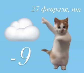 ������ ����! ����� �������?