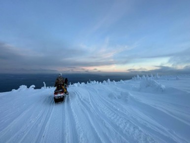 ������ �� ���� �������� � �������� ���� ��� ������ �� ������� �� �����