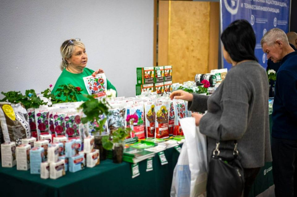 � ��� ����� ������ ����� �����-�������