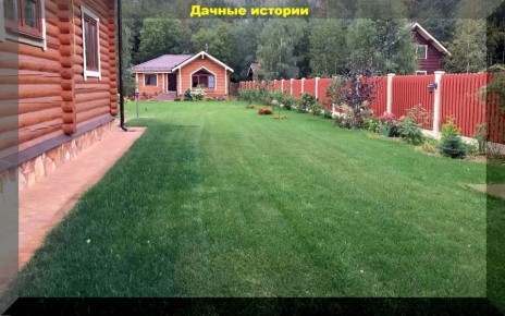 Битва за зелёный покров: как правильно ухаживать за газоном весной