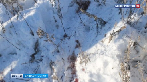 � ������������� ������ ������������� ���������� ����� ������