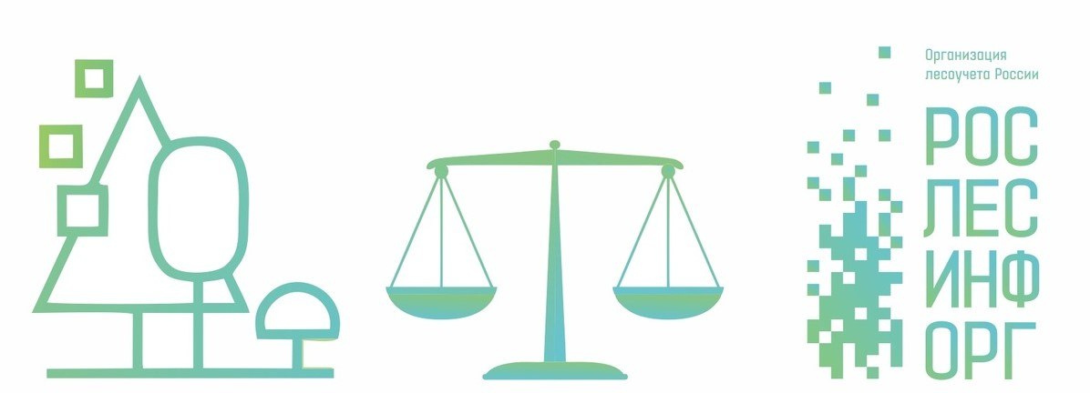 Изменения в законодательстве: что нового в лесных отношениях и налогах