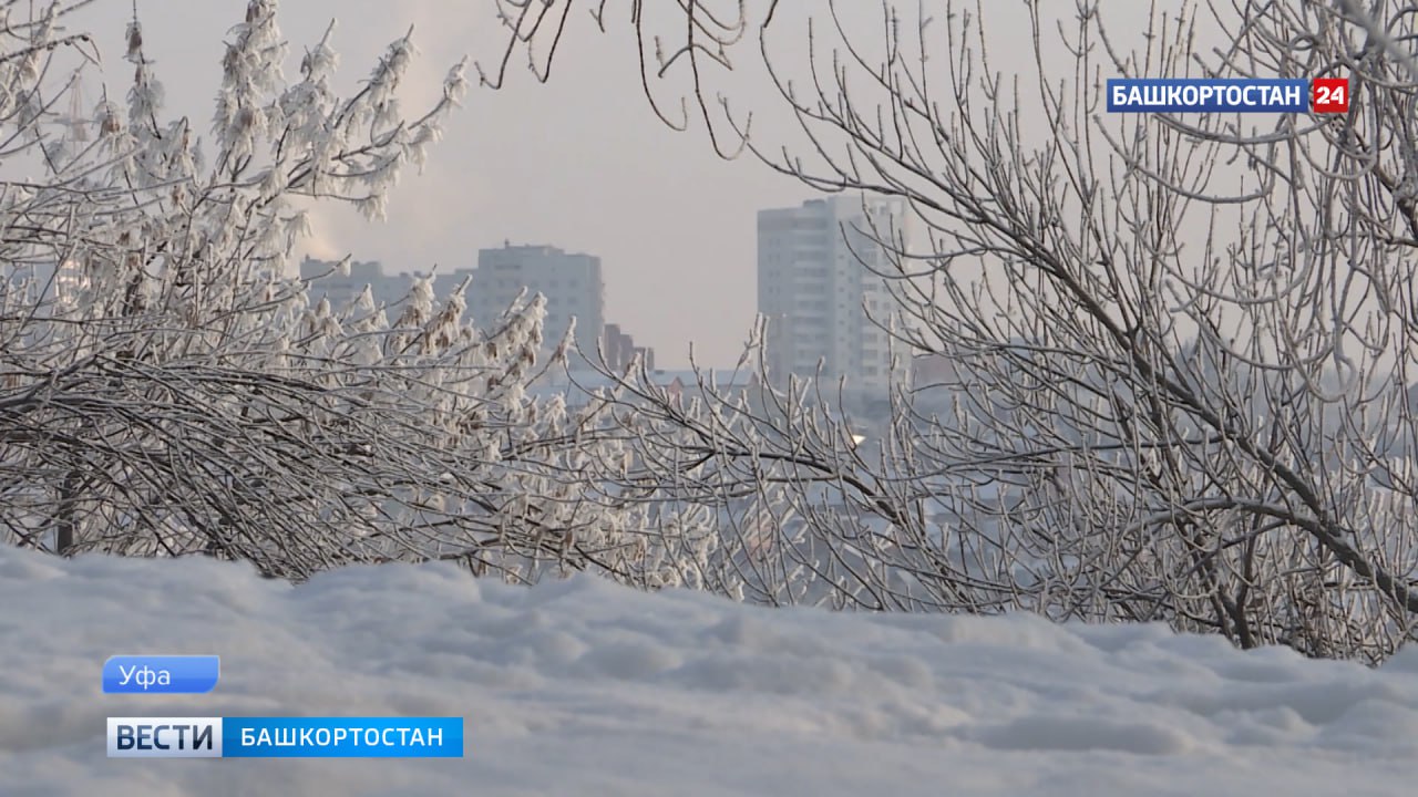 Синоптики рассказали о погоде в последний день зимы в Башкортостане