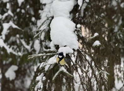 �� ������ ������������, 28 ������� �� ���������� ���������� ��������� �������� ������, ����� � ������������