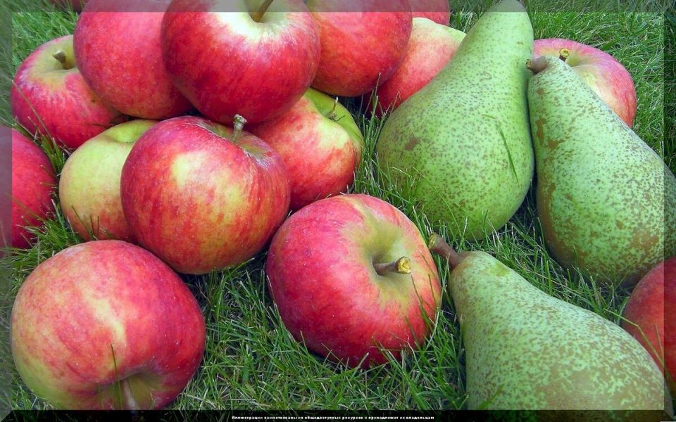 �������� ����� ������ � ����: ��� ������� ������ �������