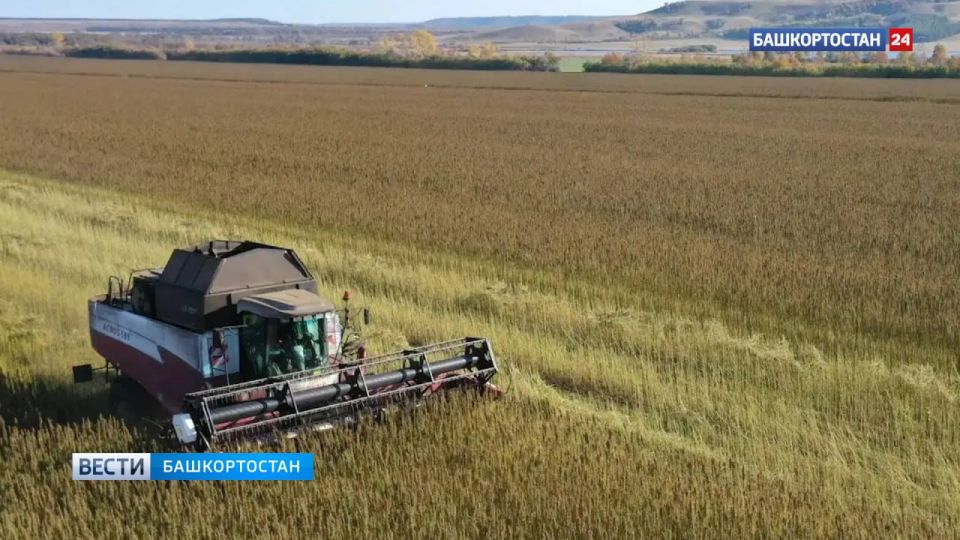 ����� �������: ������������ �� ������������� ����� � ����������� ������ ���������� ������