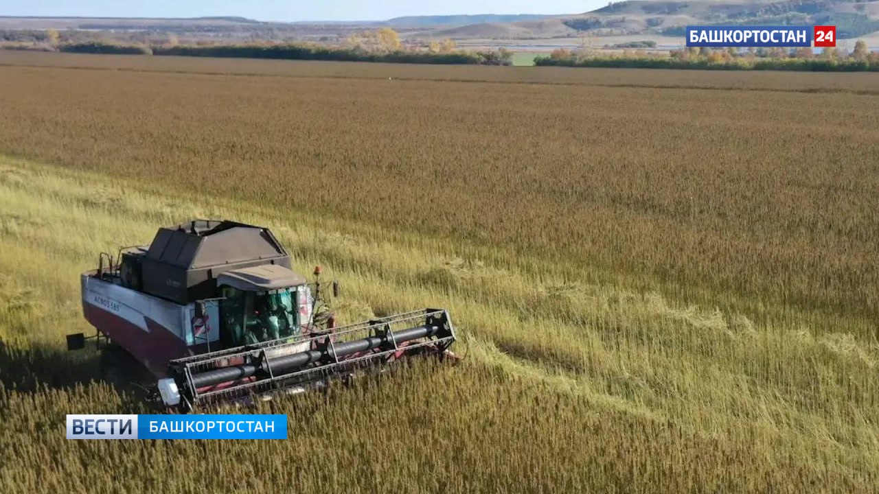 Радий Хабиров: инвестпроект из Башкортостана вошел в Федеральный реестр углеродных единиц