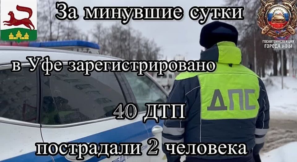 �� �������� ����� �� ���������� ������ ��� ������������ ���������������� ���������������� 40 �������-������������ ������������, ���������� 2 ��������