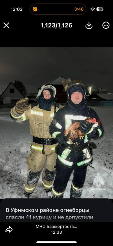 � �������� ������ �������� ������ 41 ������