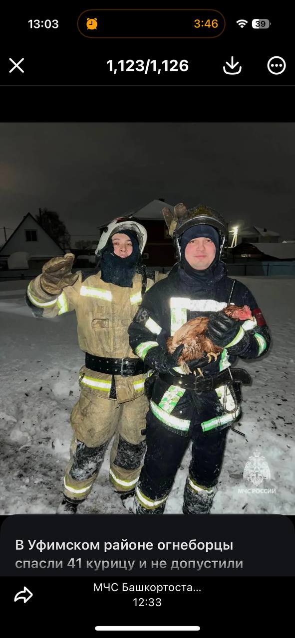В Уфимском районе пожарные спасли 41 курицу