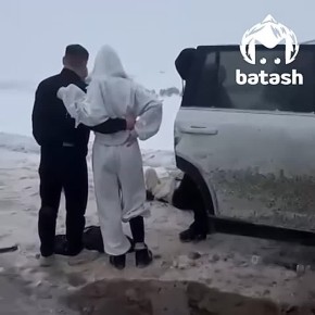 ������ ������� ������ ������ � ������