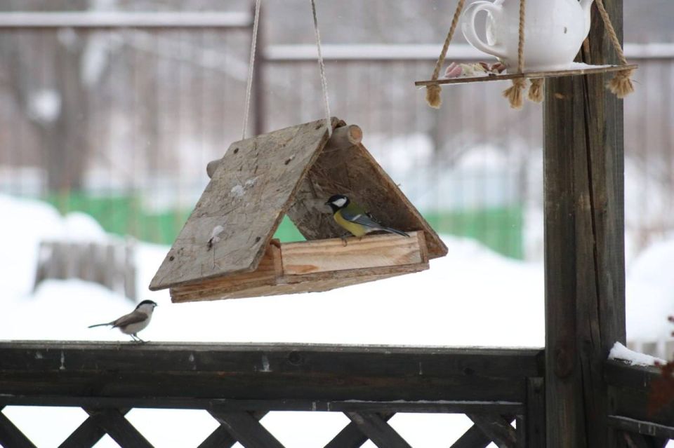 �������, ������ � ��������� �������� ��������� � �����-������ � �������� ����������