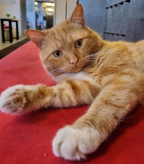 1 ����� � ������ �������� ���� �����