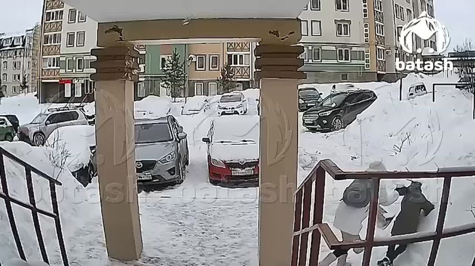 ���� ������ ���� �� ������ � ����� ����� � ����������