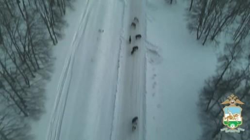 � ������������� ����������� � ������� ������������� ����� ��������� ����� �������