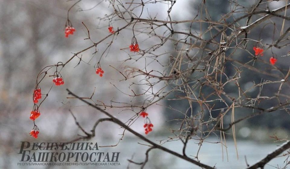 �� ������ ������������ 2 ����� ��������� �������� ������