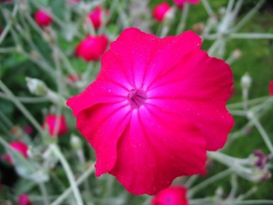 ������ ����������: ������, ������� �������� � ���� ��������� ������