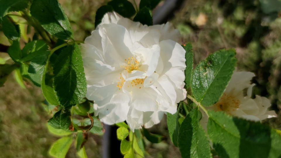 ��������� � �������: ������ ���� '����� ������' ����� �������� ��������� � ����