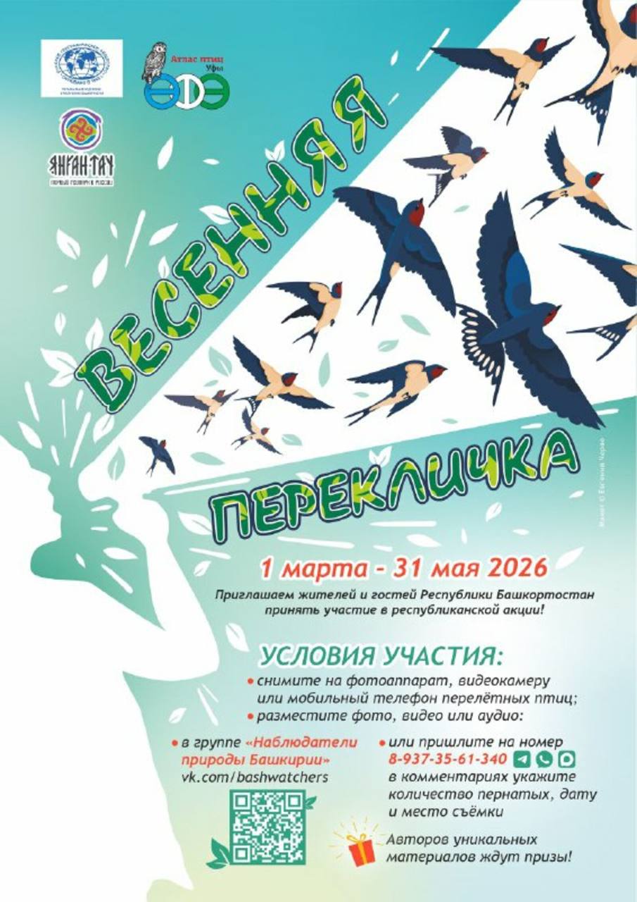 В Башкирии стартовала акция «Весенняя перекличка-2026» по наблюдению за птицами