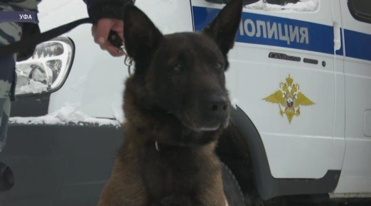 � ��� ��������������� ���� ������ ��������� ����������� �������