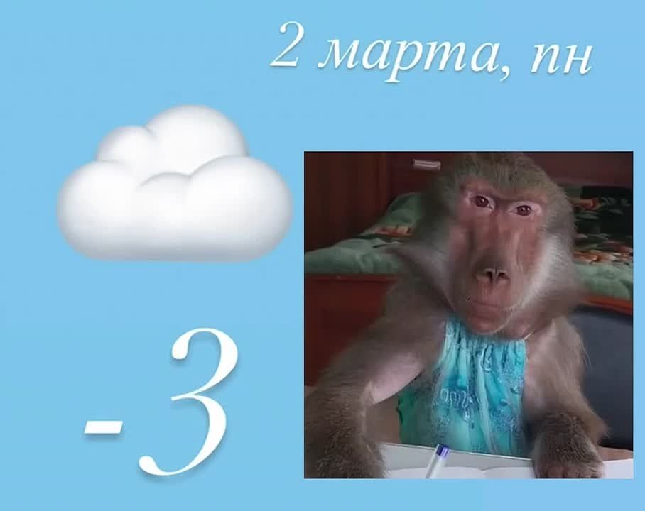 ������ ����! ������� ������� ������!