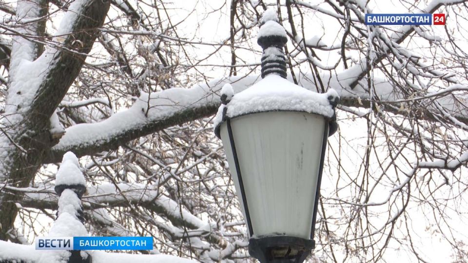 ������ ���� � �������� ����� ���� ��� ��������� ����