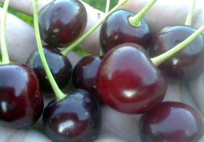 ������ ����� �����, ������� � ��������� ��� ������ ����