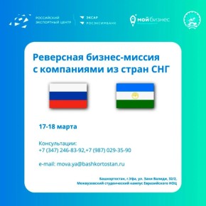 Начался прием заявок на реверсную бизнес-миссию Башкортостана со странами СНГ