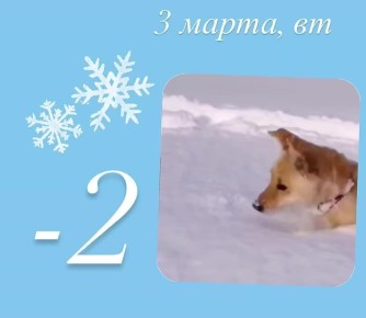 ������ ������� ����