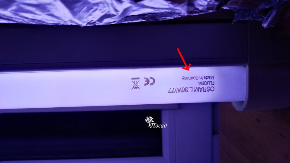 ������ � ��������� �������: ��� �� �������� � ������ ������� ���� �� �������� ��������