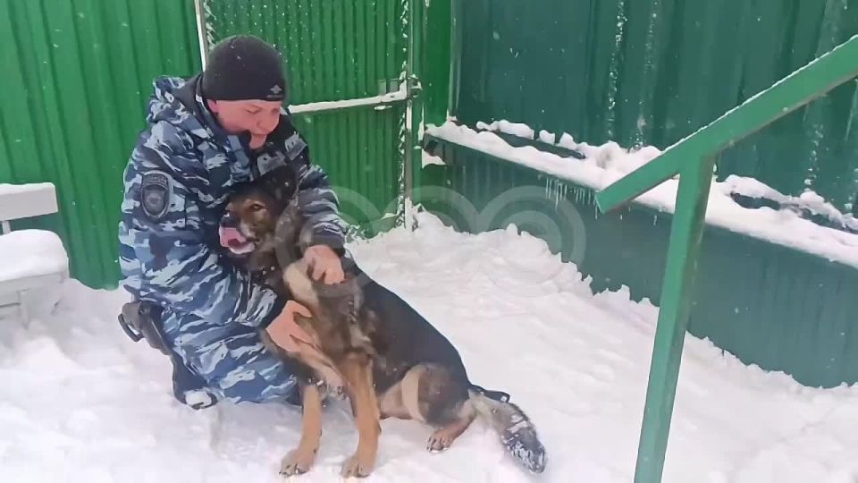 �����������, ��� ������� �������� �������������� ������ ����!