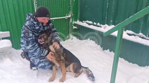 Знакомьтесь, это питомец Уфимской кинологической службы Макс!