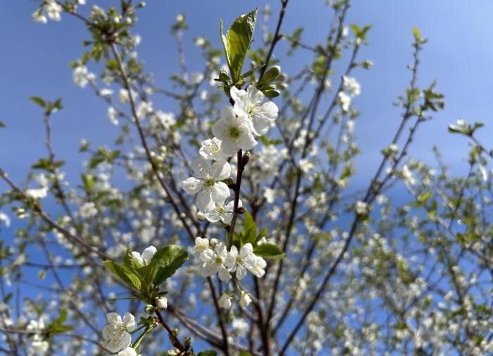 ��� ����������� ����� � ����: ������ ��� ���������� �����