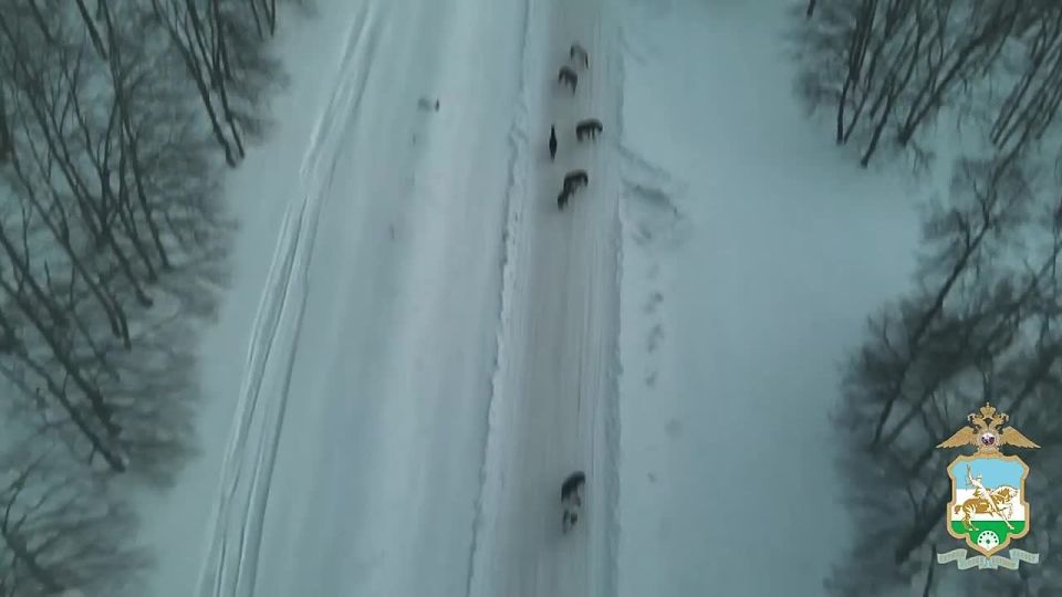 ��������� ����� ������� � �������� ��������� � ������� �������������