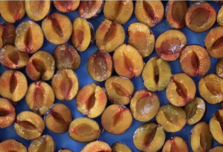 ��� ������ ����� � �������� ��������: ��������� ������ � ������ �� �������������