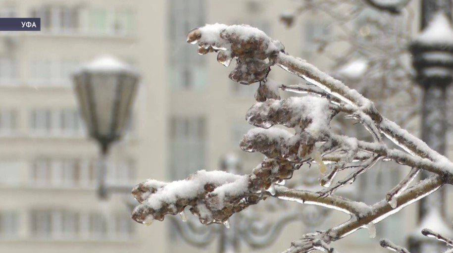 ��������� �������� ������������� � ������� � ��������