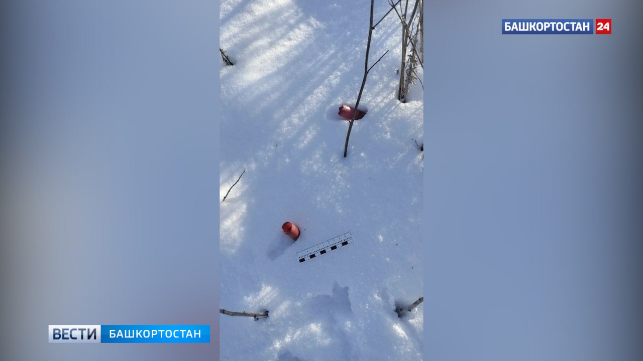 В Хайбуллинском районе Башкортостана сотрудники полиции задержали браконьера, застрелившего косулю В Хайбуллинском районе Башкортостана сотрудники полиции задержали браконьера, застрелившего косулю