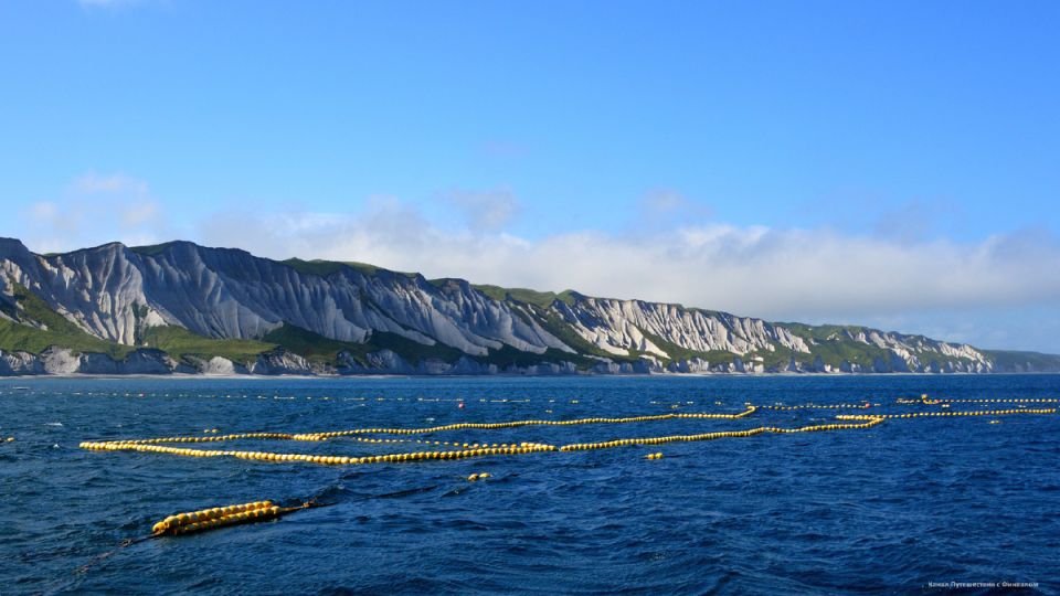 ���������� ������������ � ������ ���������: ��� ������ ������������ �������