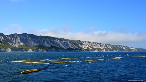 ���������� ������������ � ������ ���������: ��� ������ ������������ �������