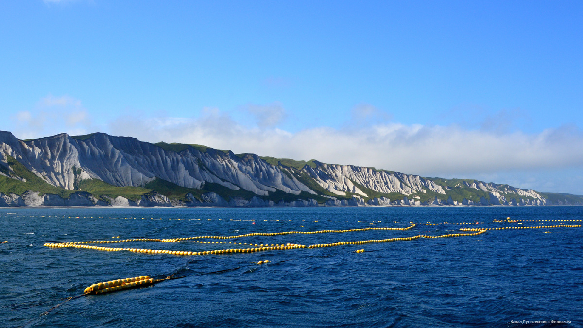 Курильские перетворения в рыбной индустрии: чем грозит исчезновение горбуши