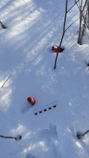 123456. � ������������� ������ ����������� ��������� �������, ������� ��������� ���������� ������