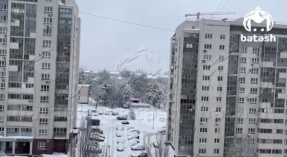 �� ���� ��� ������ ������ � ���� ����������, �� ���������