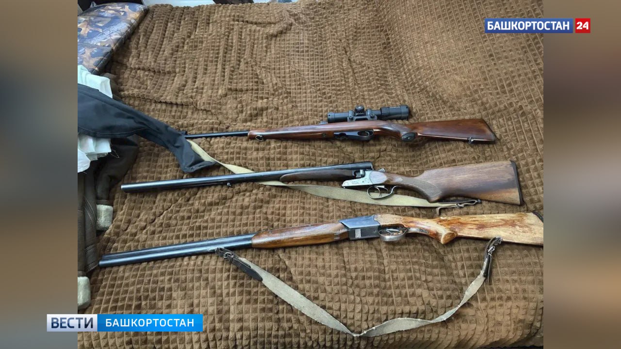 В Хайбуллинском районе Башкортостана сотрудники полиции задержали браконьера, застрелившего косулю В Хайбуллинском районе Башкортостана сотрудники полиции задержали браконьера, застрелившего косулю