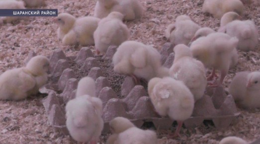 � �������� �������� � ����� ���� ������ ������� �� 11,5%