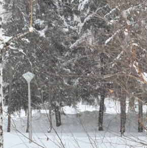 �� ������ ������������, 5 ����� �� ���������� ���������� ��������� �������� ������ � ������������