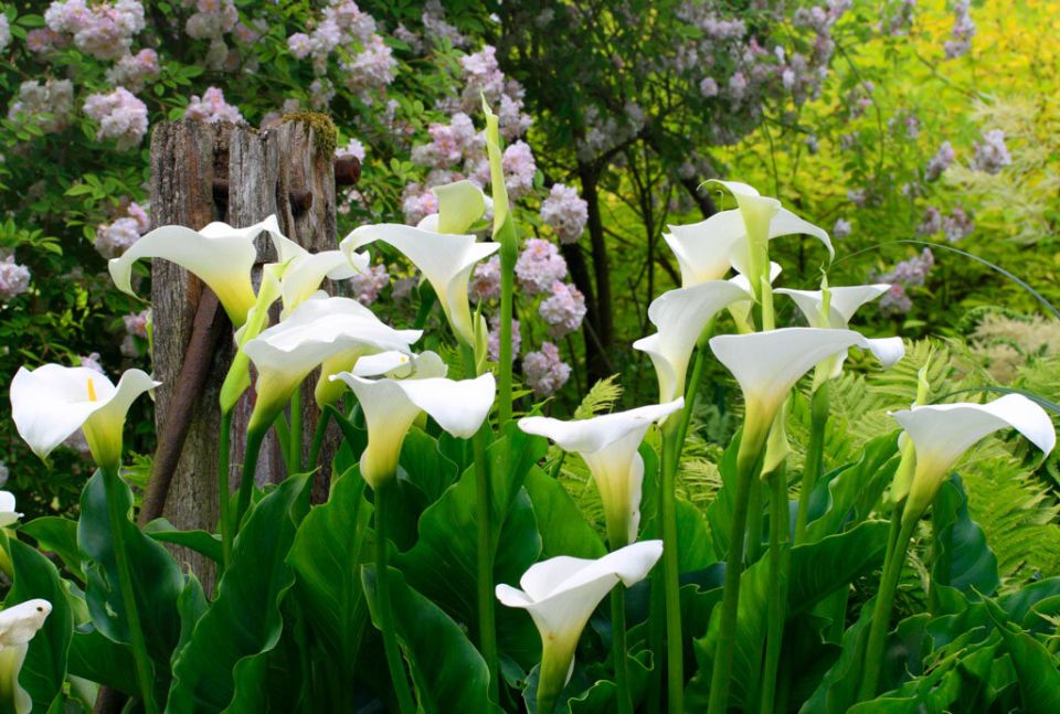 �������� ���������� �����: ��� ������� ��� ����