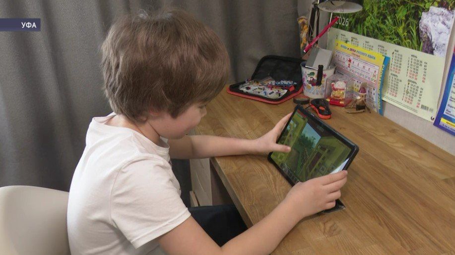 В Уфе состоялась конференция, посвященная профилактике кибермошенничества