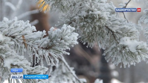 ���� �� �������: 9 ����� � �������� ��������� ������� �����